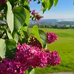 Schleipfnerhof Urlaub Auf Dem Bauernhof Feriegård