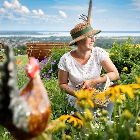 Schleipfnerhof Urlaub Auf Dem Bauernhof Feriegård