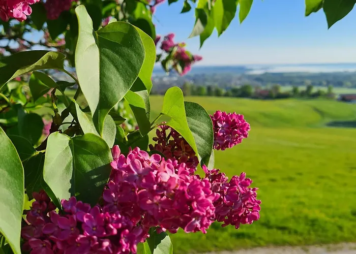 Schleipfnerhof Urlaub Auf Dem Bauernhof Farma