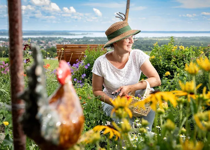 Schleipfnerhof Urlaub Auf Dem Bauernhof Farma
